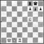 clip_image002.jpg